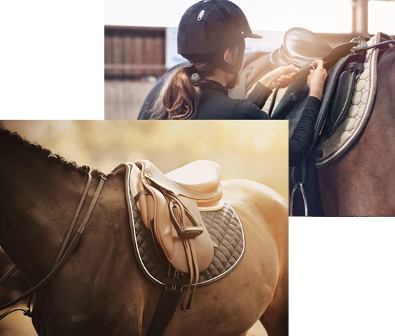 La-sellerie-du-cheval-et-de-l-equitation