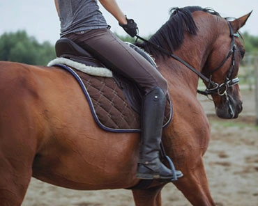 Pourquoi-la-selle-d-equitation