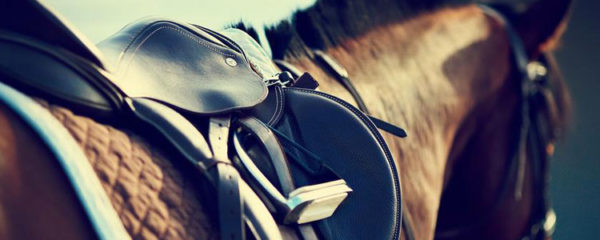 équipement d'équitation